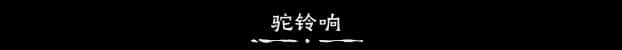 视觉数据4